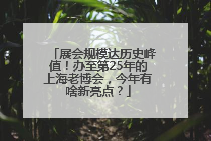 展会规模达历史峰值！办至第25年的上海老博会，今年有啥新亮点？