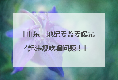 山东一地纪委监委曝光4起违规吃喝问题！