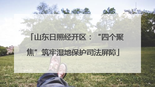 山东日照经开区：“四个聚焦”筑牢湿地保护司法屏障