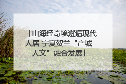 山海经奇境邂逅现代人居 宁夏贺兰“产城人文”融合发展