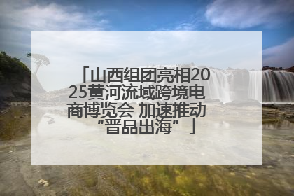 山西组团亮相2025黄河流域跨境电商博览会 加速推动“晋品出海”