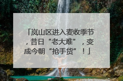 岚山区进入麦收季节，昔日“老大难”，变成今朝“抢手货”！