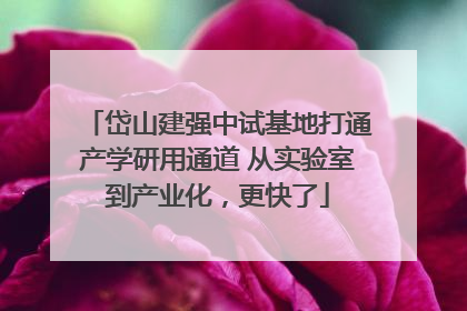 岱山建强中试基地打通产学研用通道 从实验室到产业化，更快了