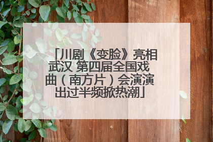 川剧《变脸》亮相武汉 第四届全国戏曲（南方片）会演演出过半频掀热潮