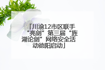 川渝12市区联手“亮剑”第三届“旌湖论剑”网络安全活动德阳启动
