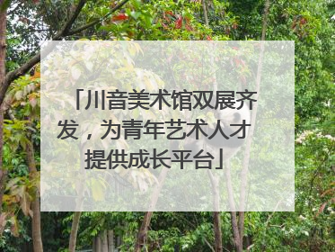 川音美术馆双展齐发，为青年艺术人才提供成长平台