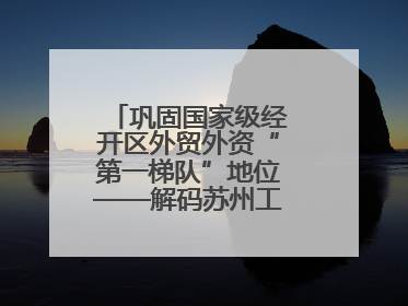 巩固国家级经开区外贸外资“第一梯队”地位——解码苏州工业园区样本
