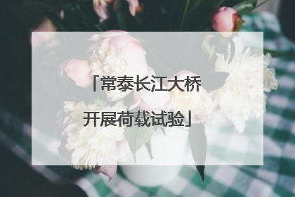 常泰长江大桥开展荷载试验