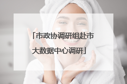 市政协调研组赴市大数据中心调研