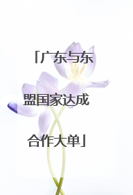 广东与东盟国家达成合作大单