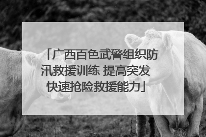 广西百色武警组织防汛救援训练 提高突发快速抢险救援能力