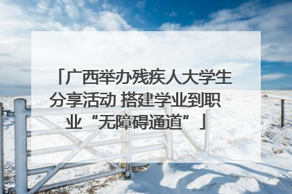 广西举办残疾人大学生分享活动 搭建学业到职业“无障碍通道”