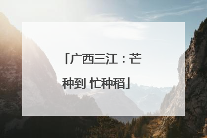 广西三江：芒种到 忙种稻