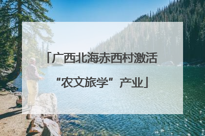广西北海赤西村激活“农文旅学”产业