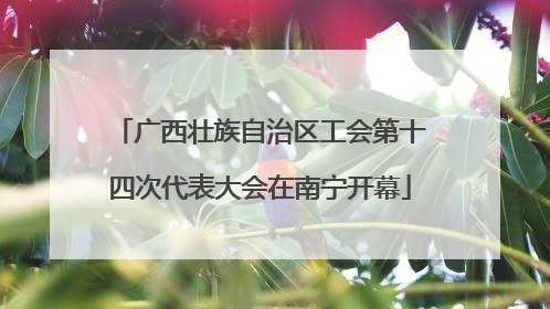 广西壮族自治区工会第十四次代表大会在南宁开幕
