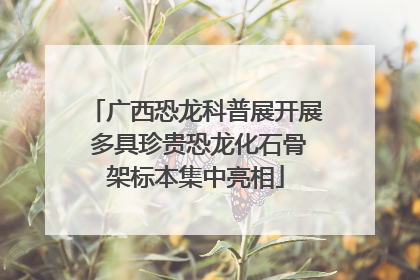 广西恐龙科普展开展 多具珍贵恐龙化石骨架标本集中亮相