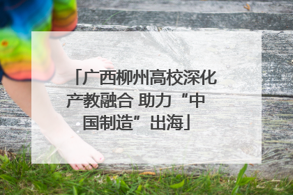 广西柳州高校深化产教融合 助力“中国制造”出海