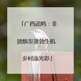 广西武鸣：非遗焕发蓬勃生机 乡村添光彩