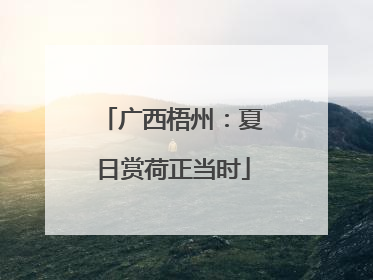 广西梧州：夏日赏荷正当时