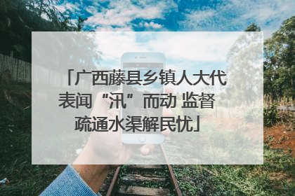 广西藤县乡镇人大代表闻“汛”而动 监督疏通水渠解民忧