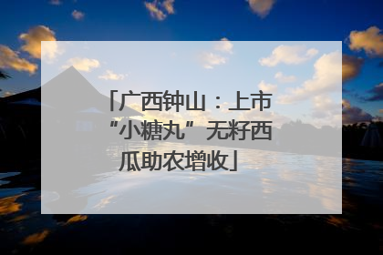 广西钟山：上市“小糖丸”无籽西瓜助农增收