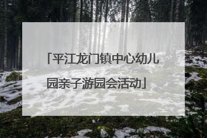 平江龙门镇中心幼儿园亲子游园会活动
