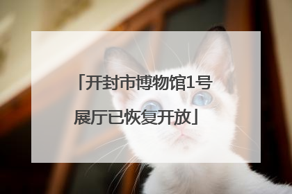 开封市博物馆1号展厅已恢复开放
