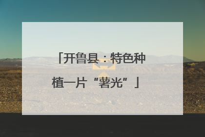 开鲁县：特色种植一片“薯光”