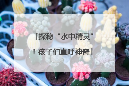 探秘“水中精灵”！孩子们直呼神奇