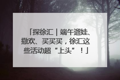 探徐汇｜端午遛娃、撒欢、买买买，徐汇这些活动超“上头”！