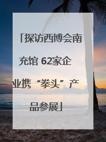 探访西博会南充馆 62家企业携“拳头”产品参展