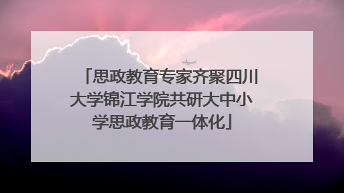 思政教育专家齐聚四川大学锦江学院共研大中小学思政教育一体化