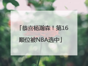恭喜杨瀚森！第16顺位被NBA选中