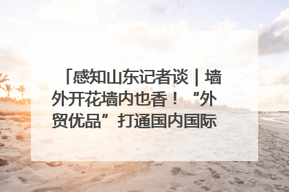 感知山东记者谈｜墙外开花墙内也香！“外贸优品”打通国内国际市场“旋转门”