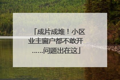 成片成堆！小区业主窗户都不敢开……问题出在这