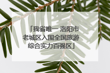 我省唯一 洛阳市老城区入围全国旅游综合实力百强区