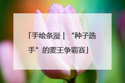 手绘条漫｜“种子选手”的麦王争霸赛