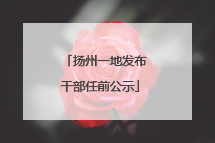 扬州一地发布干部任前公示