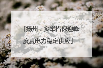 扬州：多举措保迎峰度夏电力稳定供应