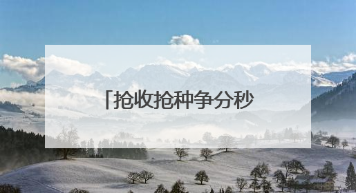 抢收抢种争分秒 禁烧禁抛筑防线——郎中乡干群同心守好 粮袋子