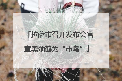 拉萨市召开发布会官宣黑颈鹤为“市鸟”