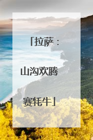拉萨：山沟欢腾赛牦牛