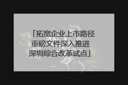 拓宽企业上市路径 重磅文件深入推进深圳综合改革试点