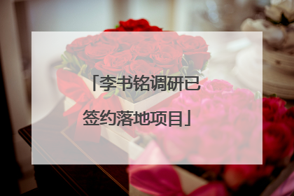 李书铭调研已签约落地项目