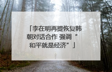 李在明再提恢复韩朝对话合作 强调“和平就是经济”