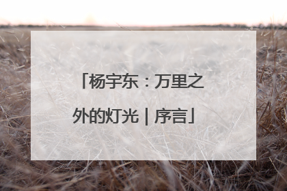 杨宇东：万里之外的灯光｜序言
