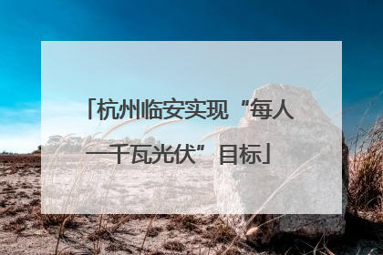 杭州临安实现“每人一千瓦光伏”目标
