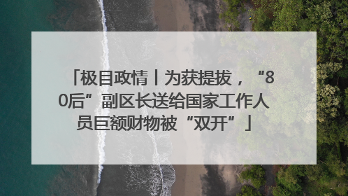 极目政情丨为获提拔，“80后”副区长送给国家工作人员巨额财物被“双开”