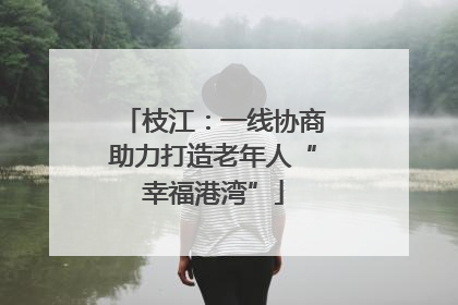 枝江：一线协商助力打造老年人“幸福港湾”