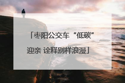 枣阳公交车“低碳”迎亲 诠释别样浪漫